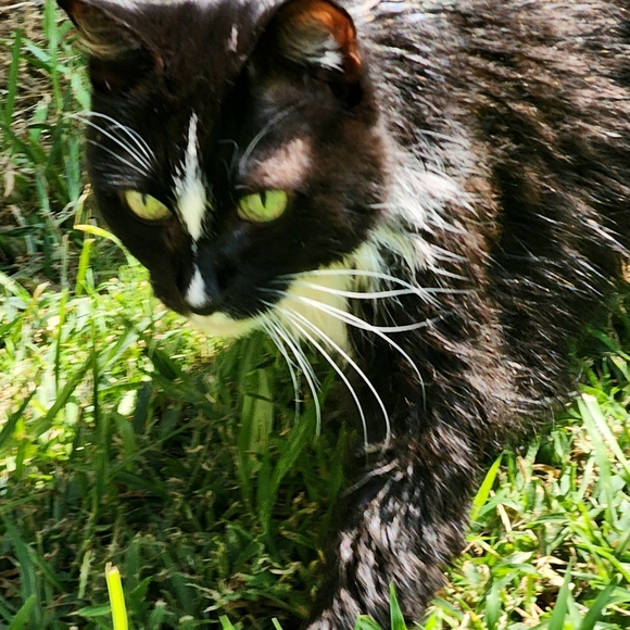 Clothes, Jewelery, Boots, Home Collection items - Picture 5 of 7